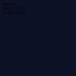 #0C1125 - Black Pearl Color Image